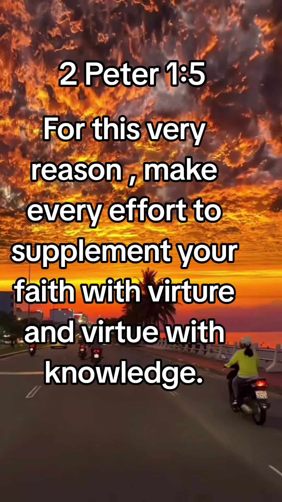 @Rondi God's Servant 📢👄🪖