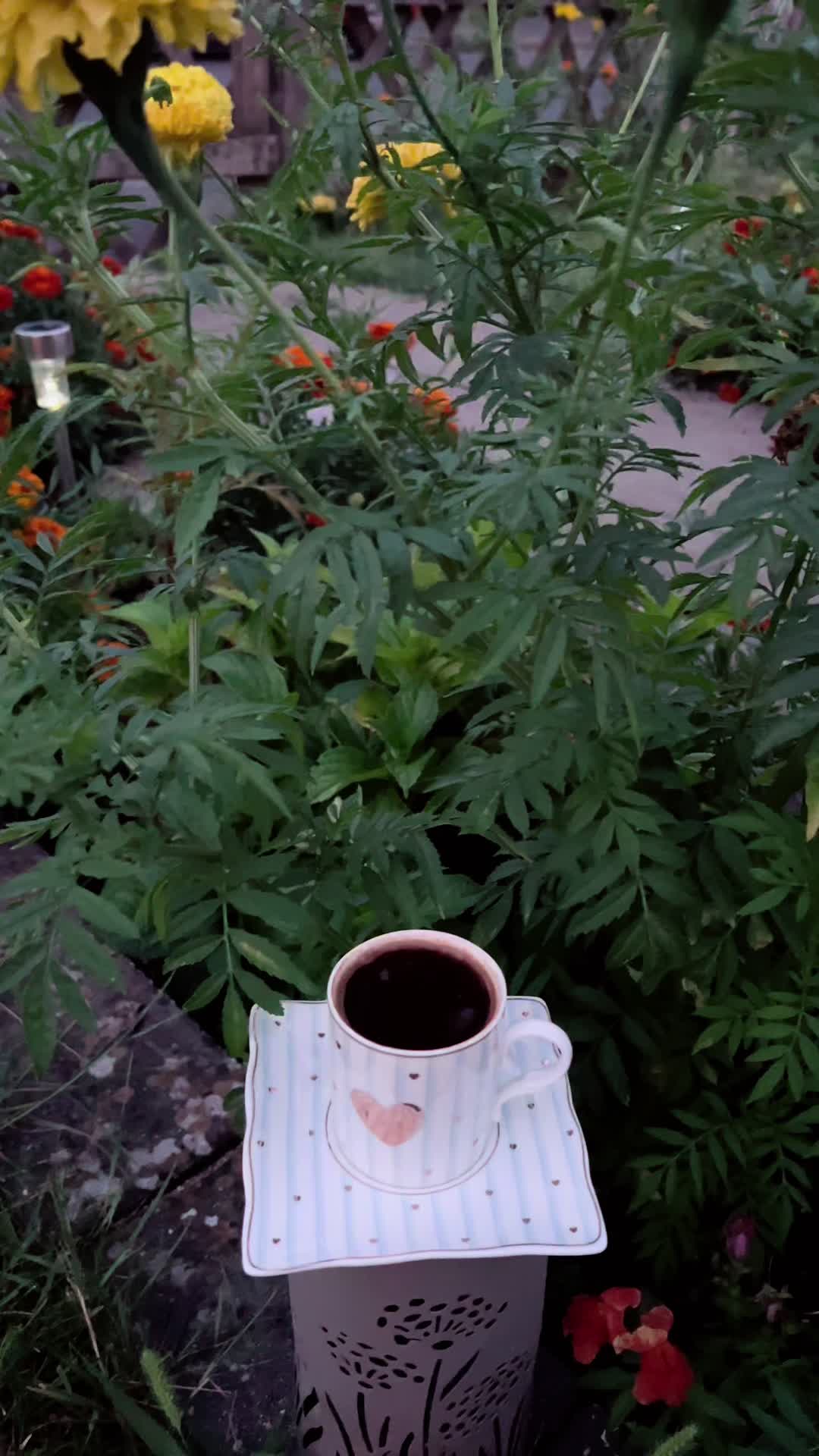 @☕️Emilia