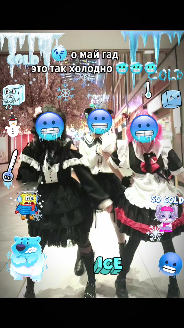 @seikou_nya