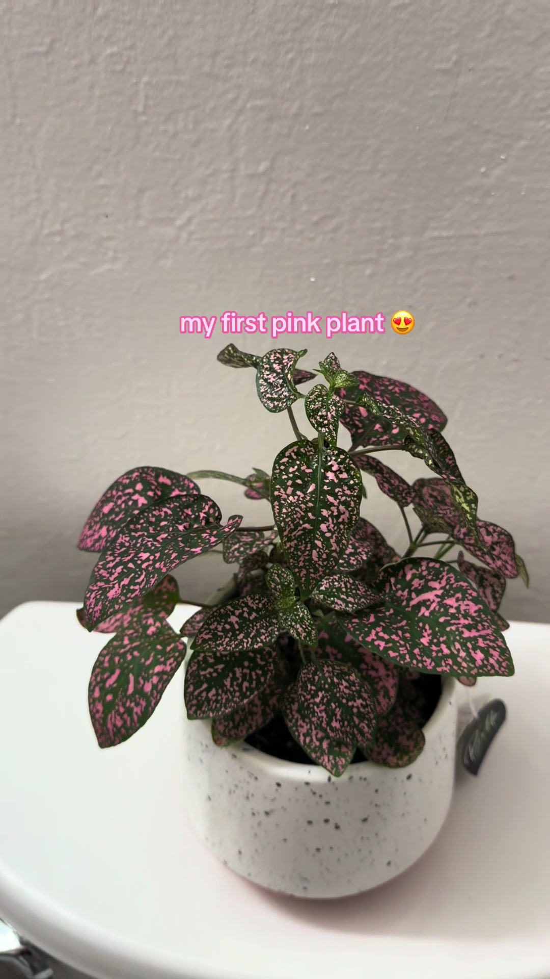 @Selena 👩🏽&zwj;🍳🌞💖