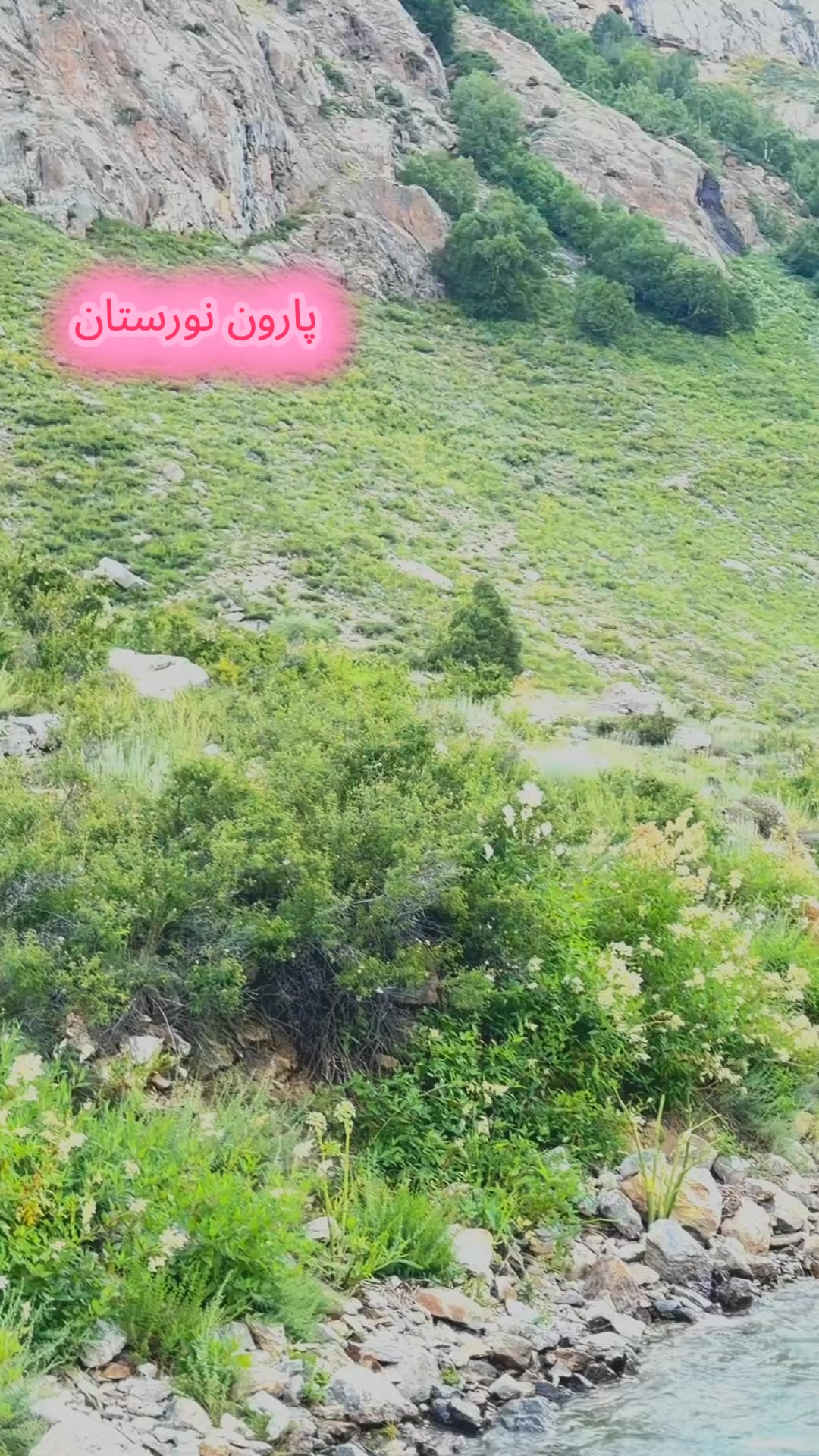 @🦅Yasar.gujjar⛎