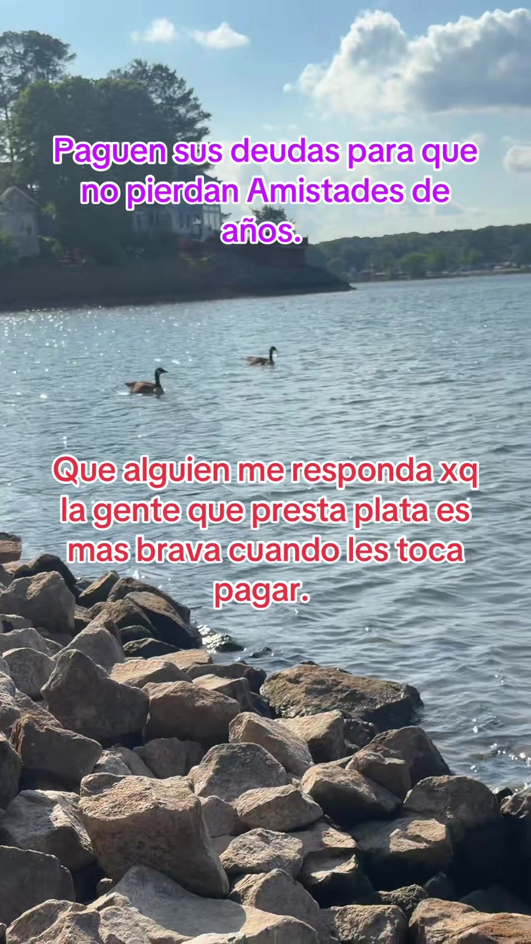 @Catalina Mosquera