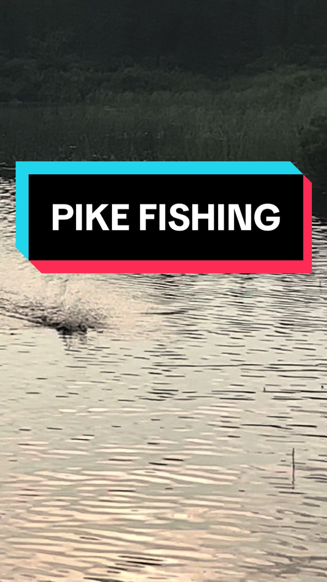 @Lofthouse Fishing