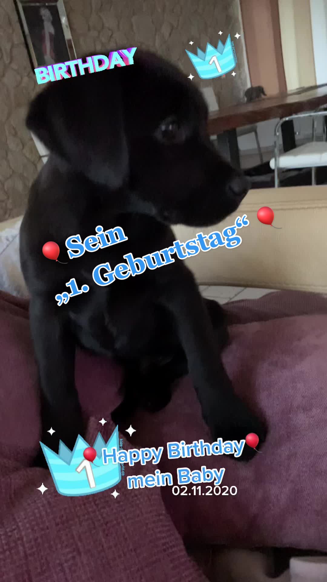 @Metzi 🇩🇪