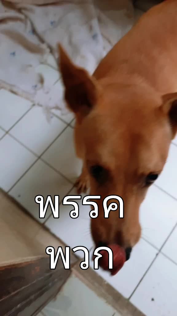 @Uguijaja