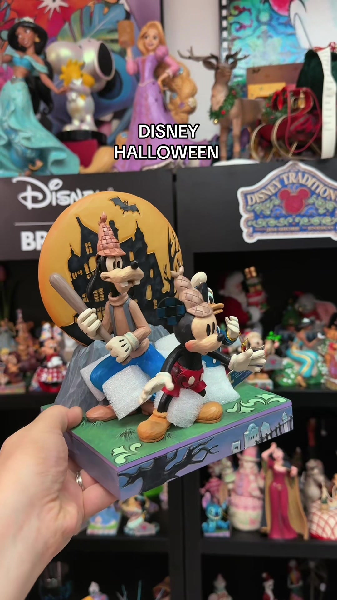 @✨Silvia Palmieri | Disney 🎡