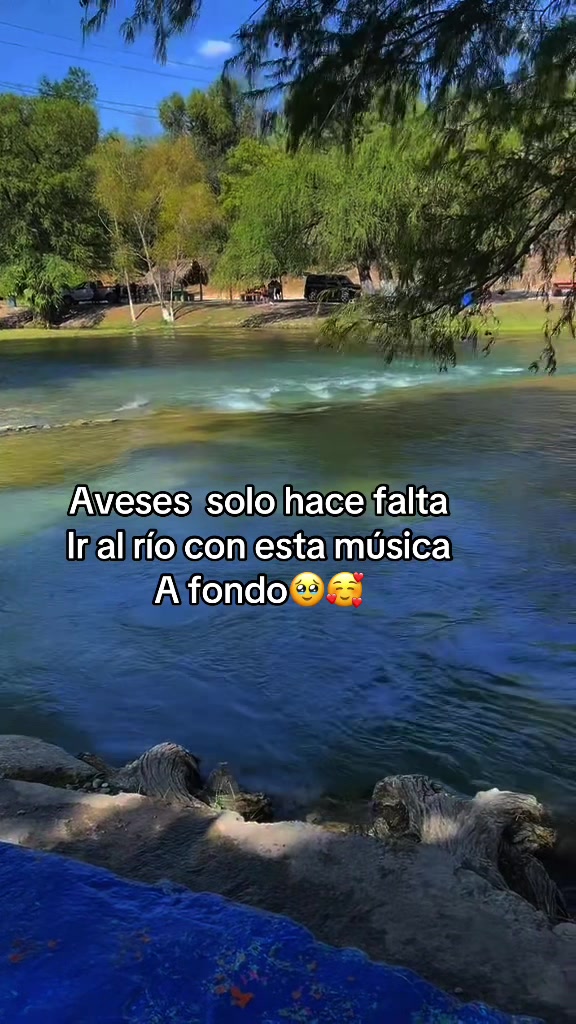 @Angelica Monsivais L