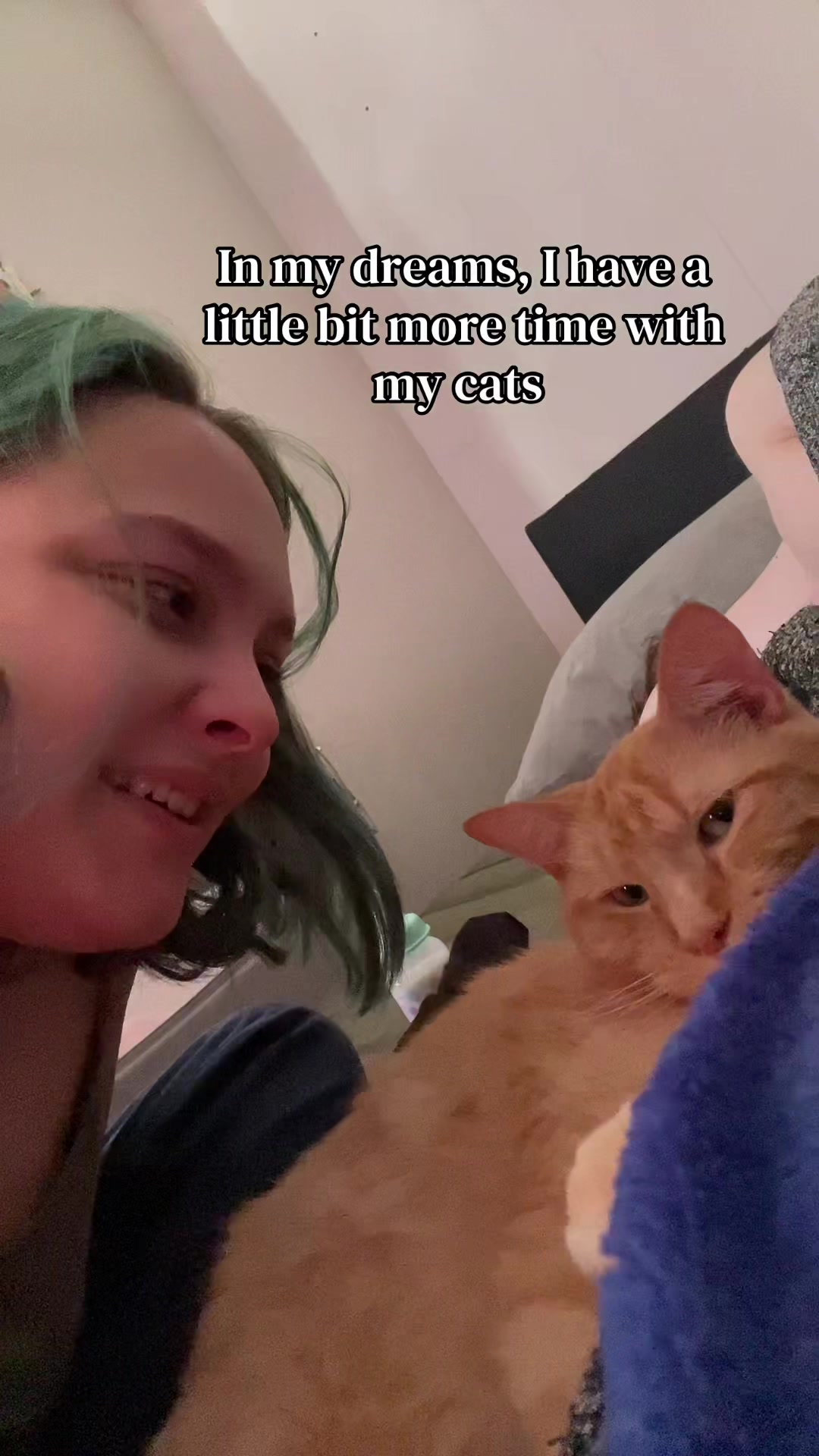 @Ginevra