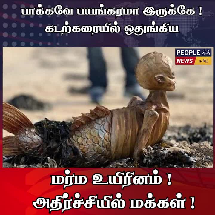 @user38174721250