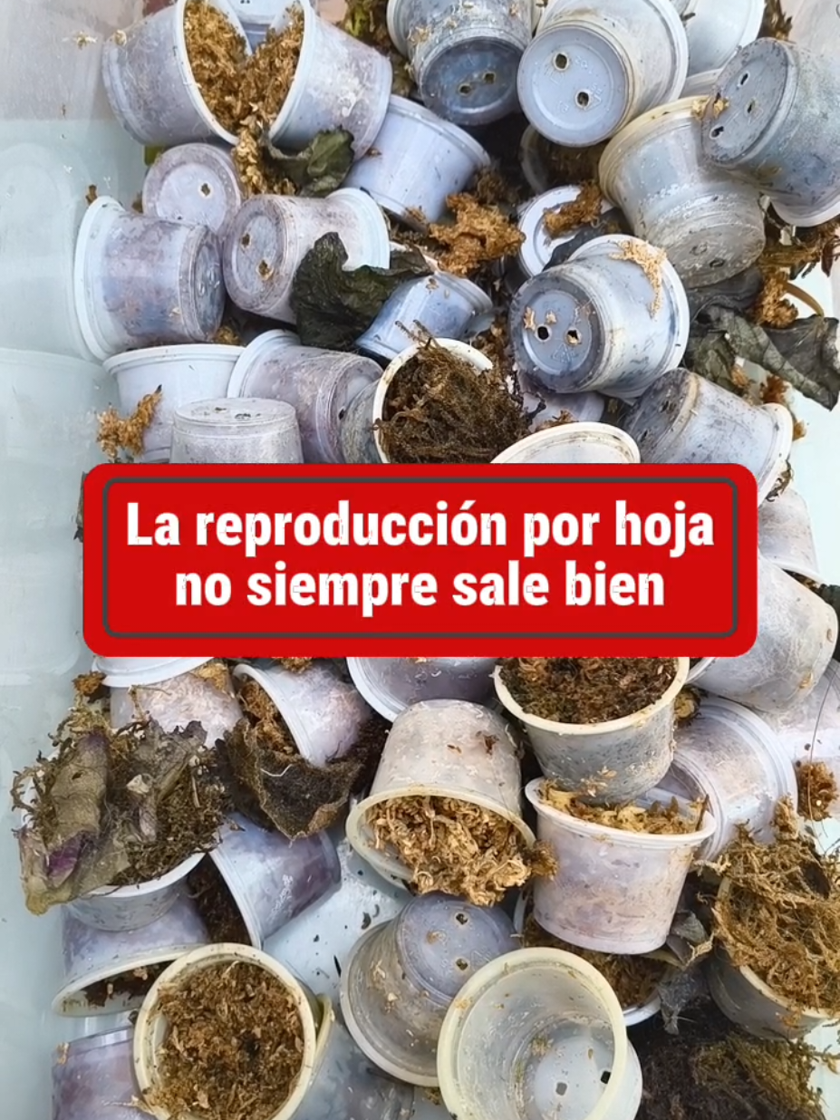 @𝑴𝒊 P𝒂𝒕𝒊𝒐𝒉𝒖𝒆𝒓𝒕𝒐