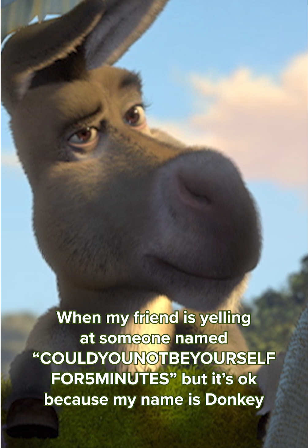 @Shrek