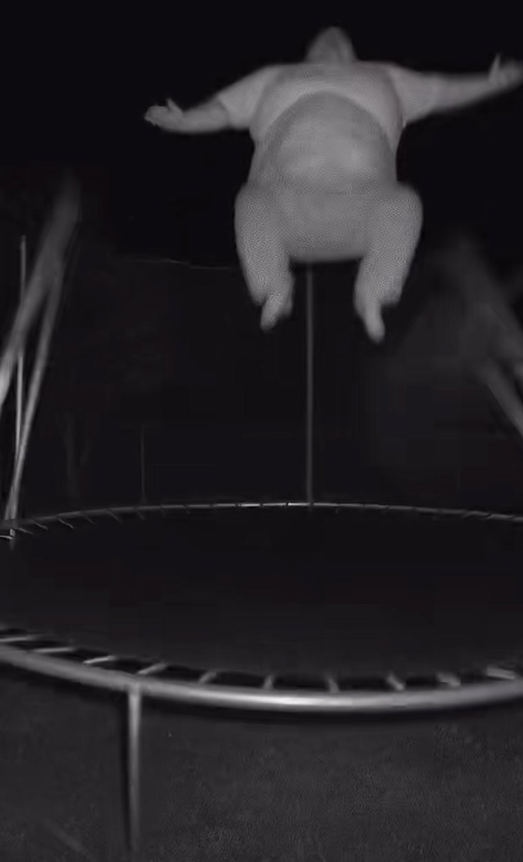 @⋆ S ꫀ ᐯ ꫀ N ⋆
