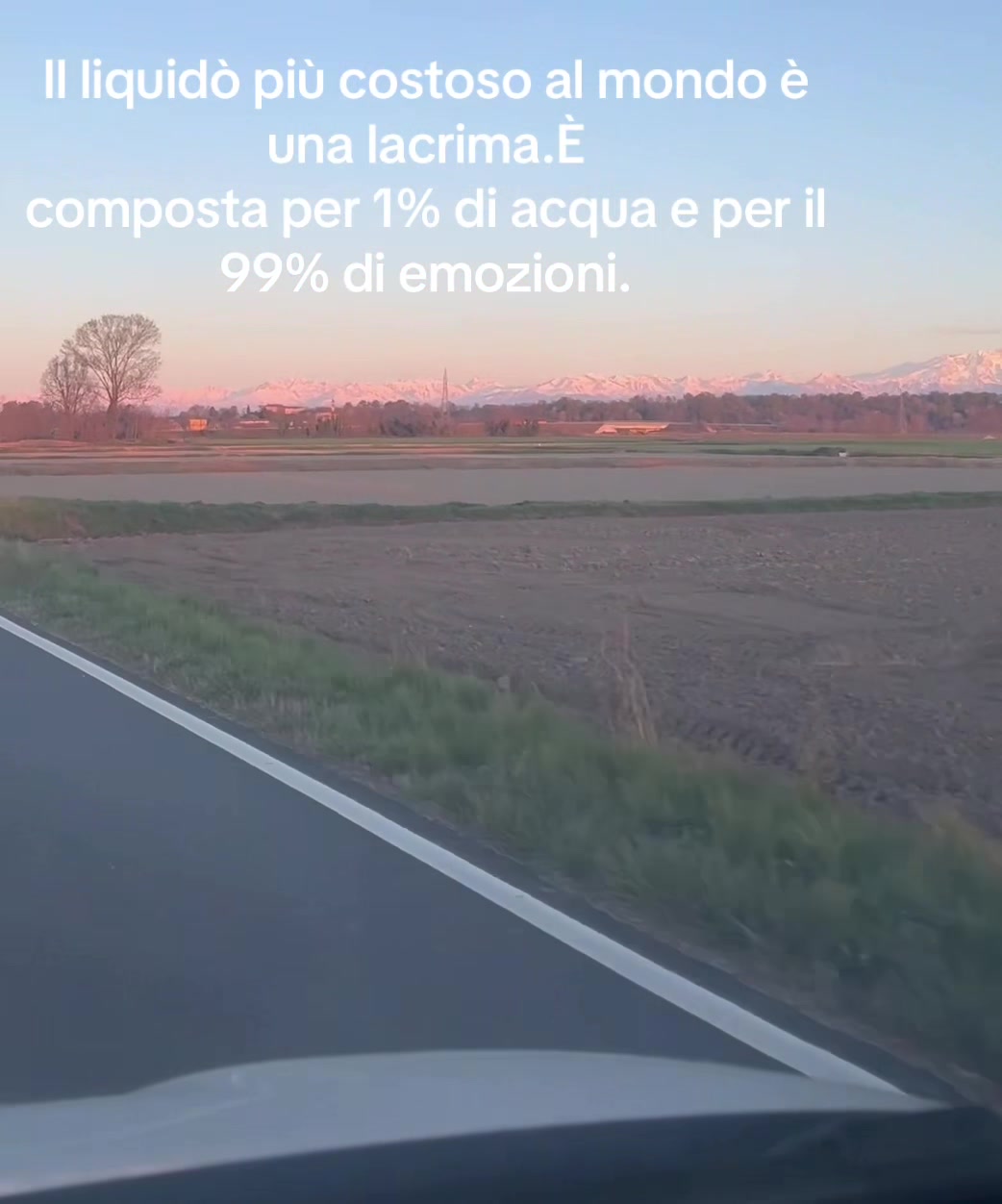 @paolo Triscari