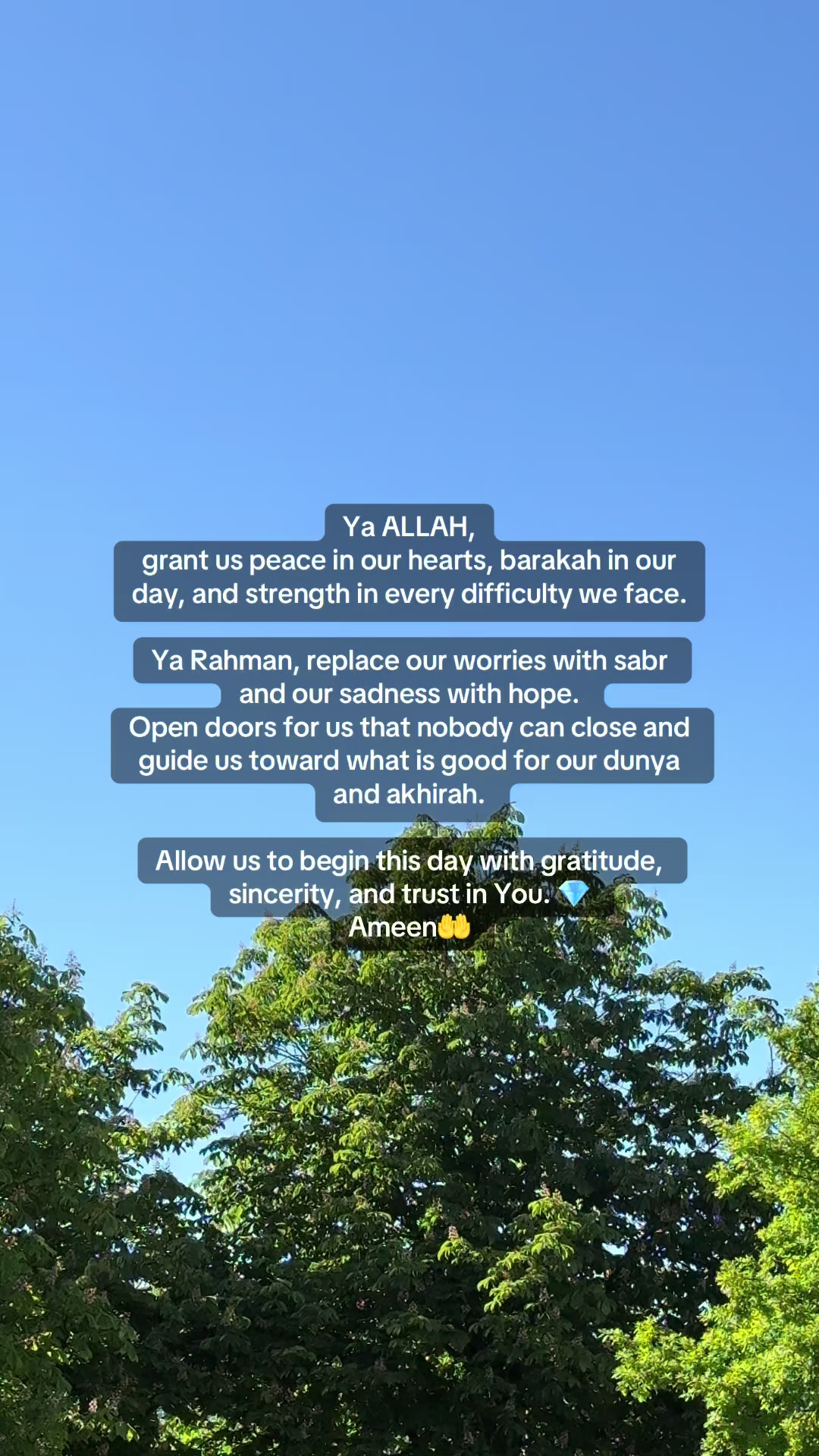 @BarakahMomentsGlobal