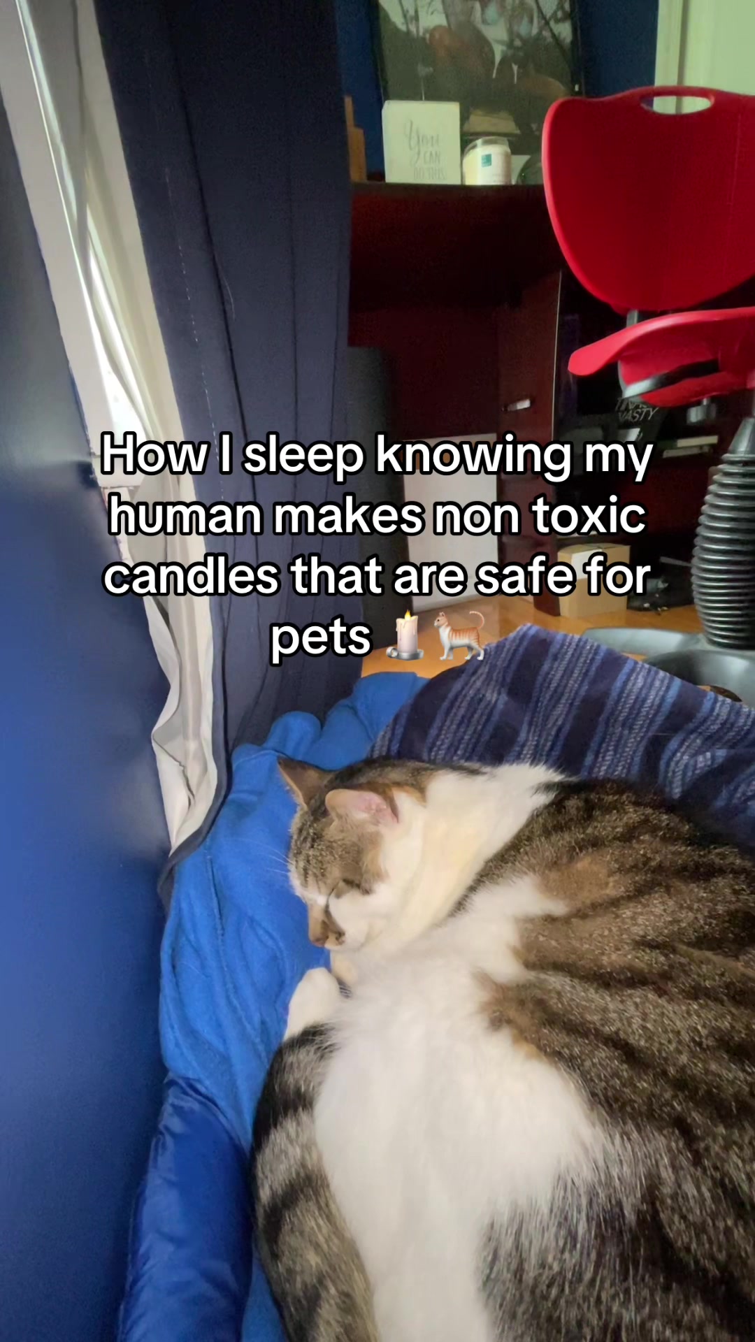 @THE WIN CANDLE
