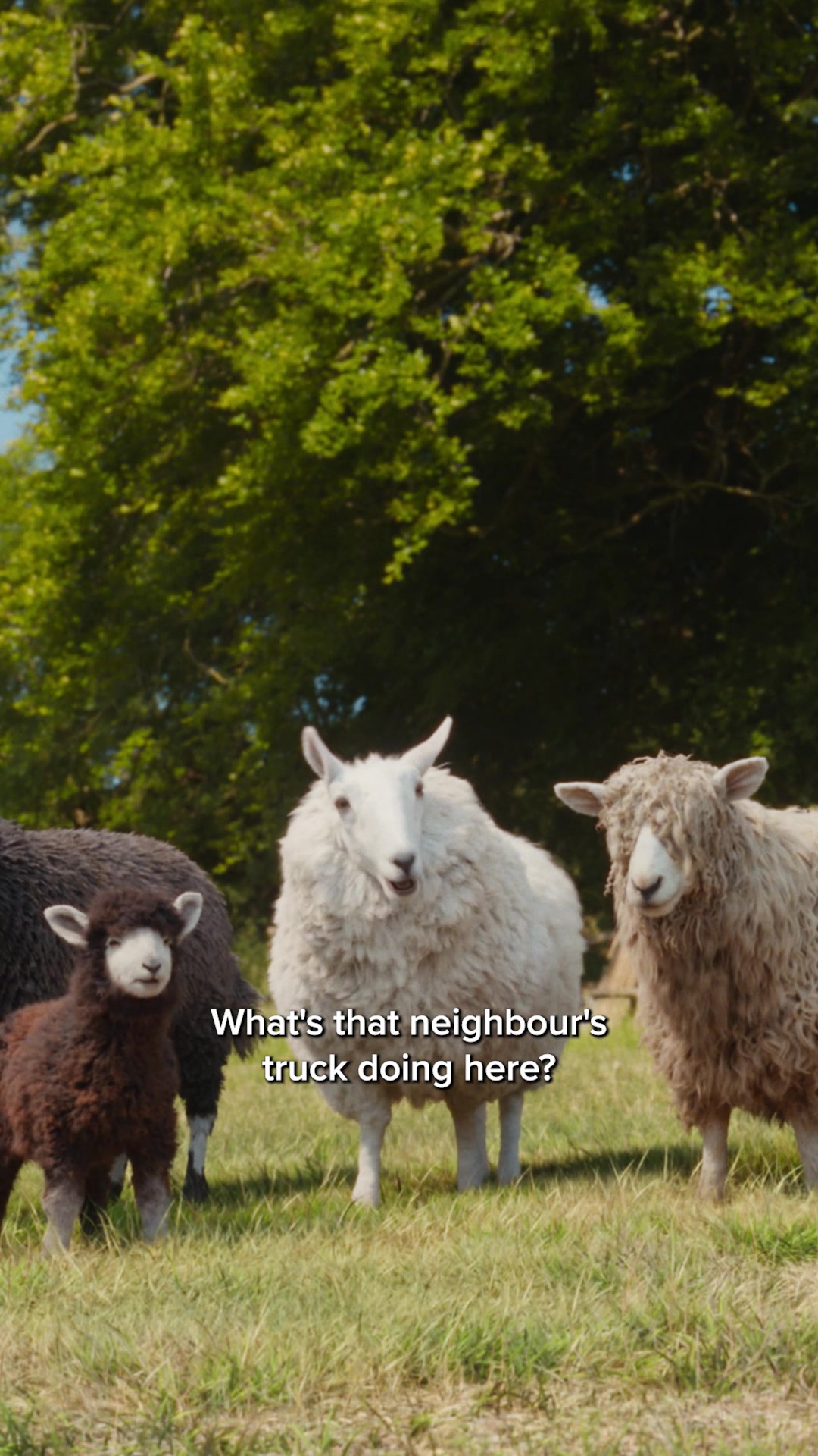 @Sony Pictures UK