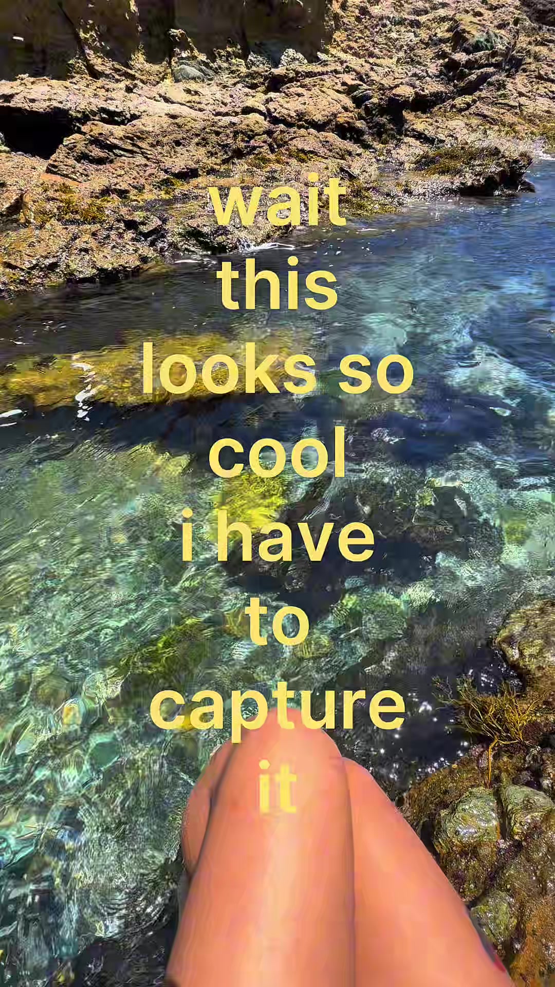 @lizzie yesenia