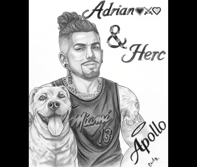 @Adrian🖤⚔️💜