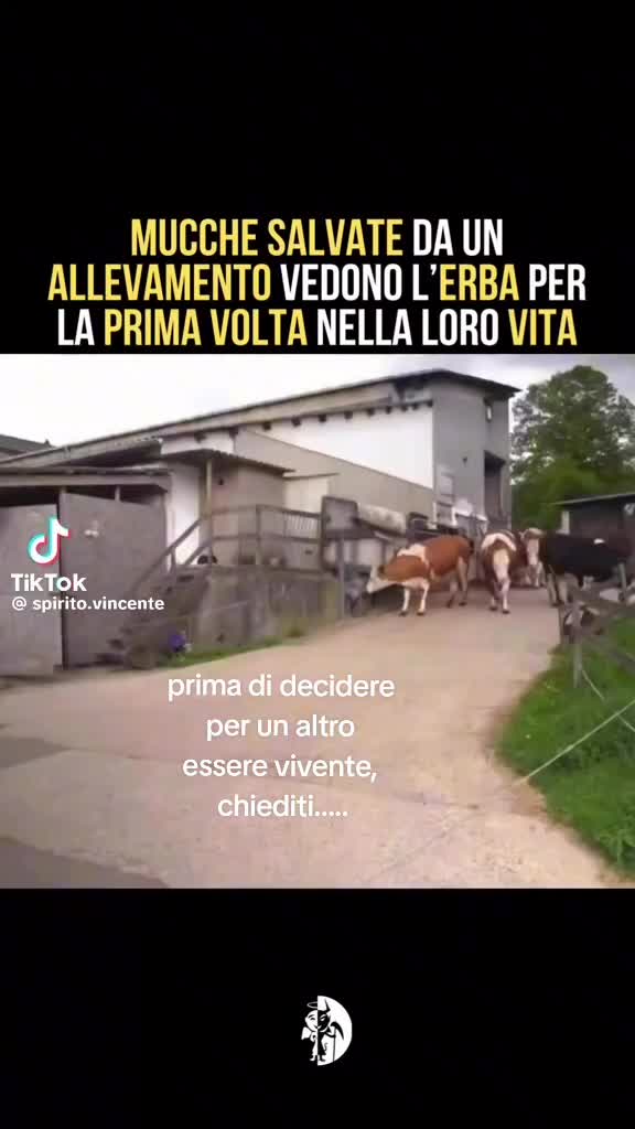 @❤chicca.260❤
