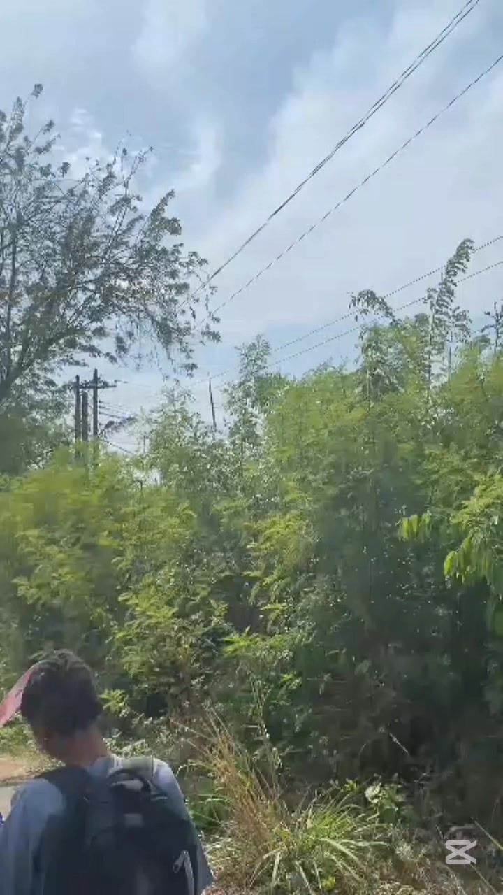 @SNCJ