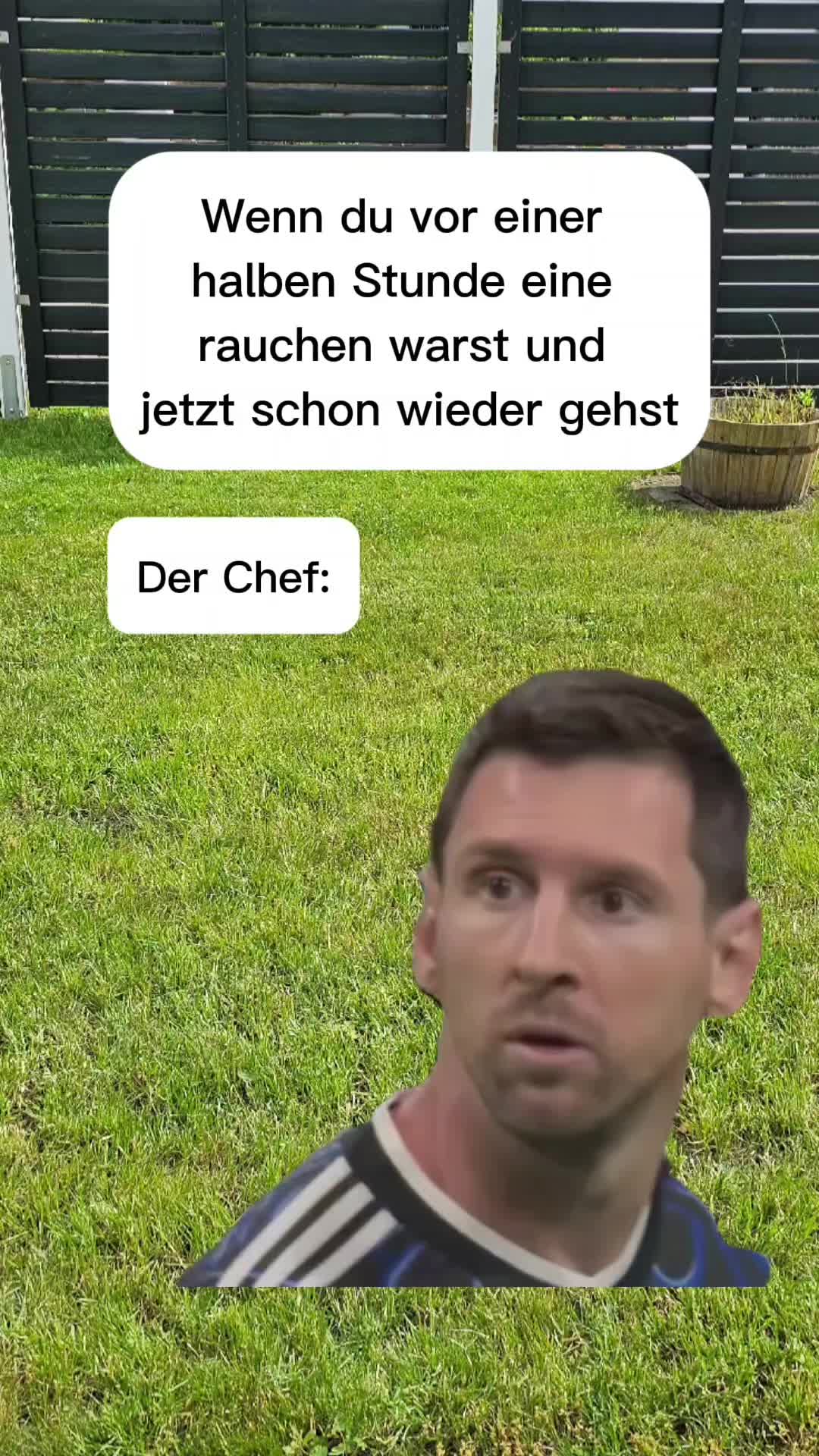 @Mesut 👑