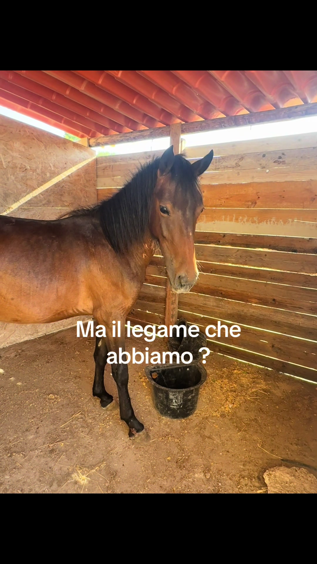 @Aurora Campisi