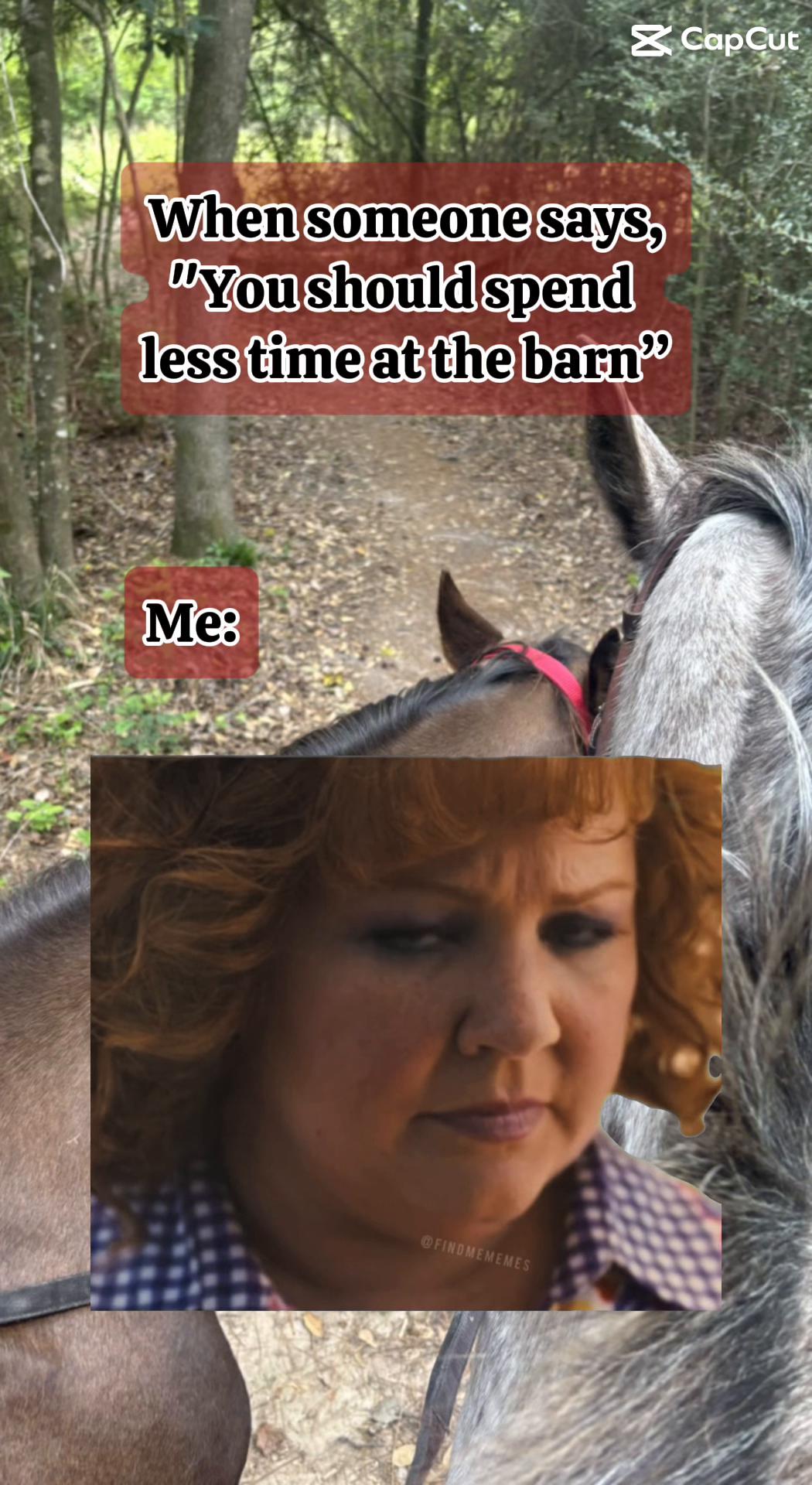 @Muslim Equestrians L.L.C.