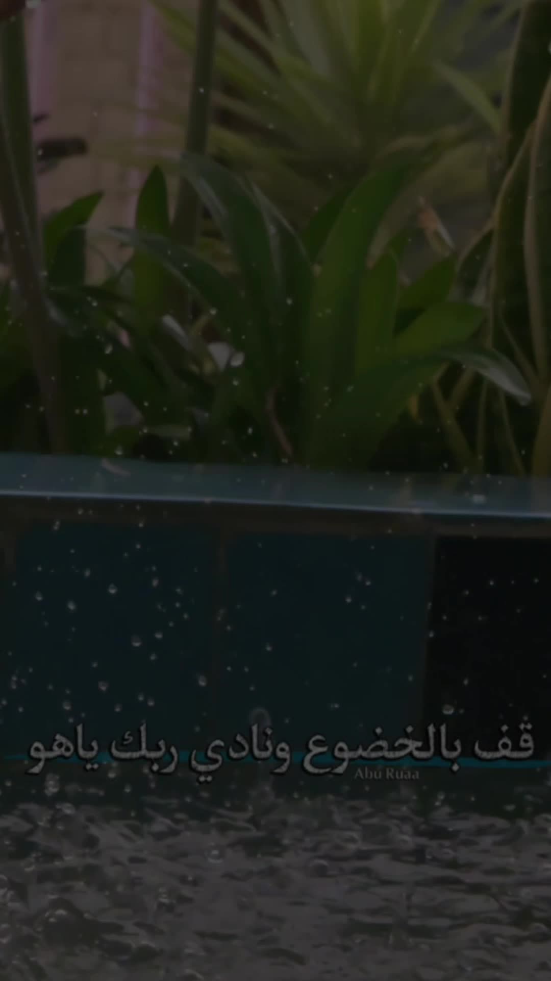 @فن_يمني _اصيل