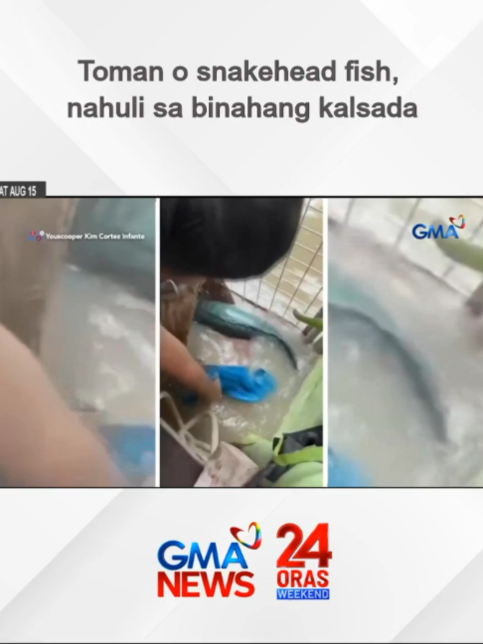 @24 Oras