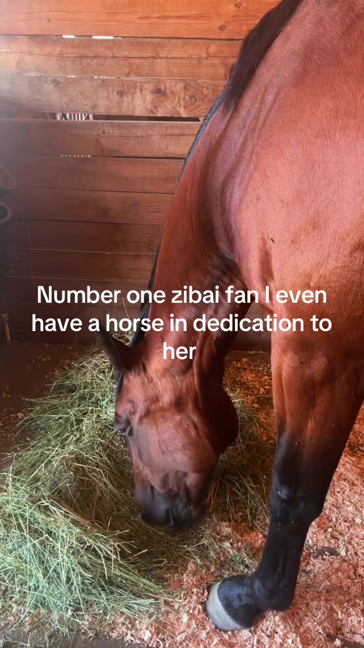 @Lucy | n1 zibai gooner