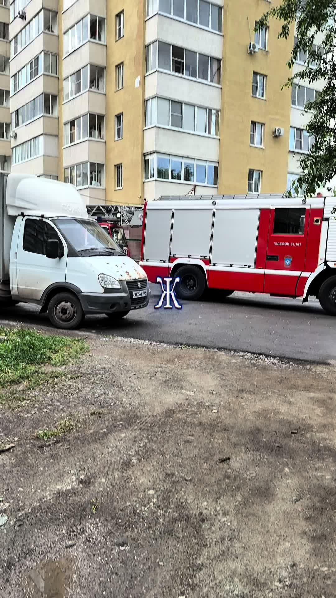 @fizz_ural74