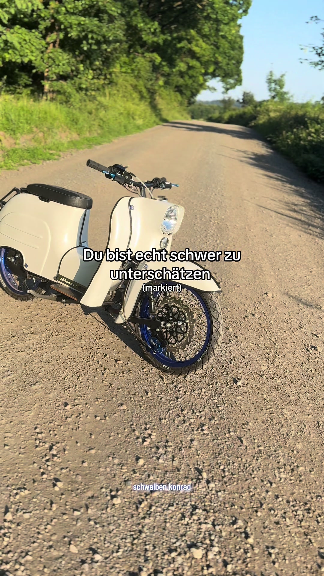 @schwalben.konrad