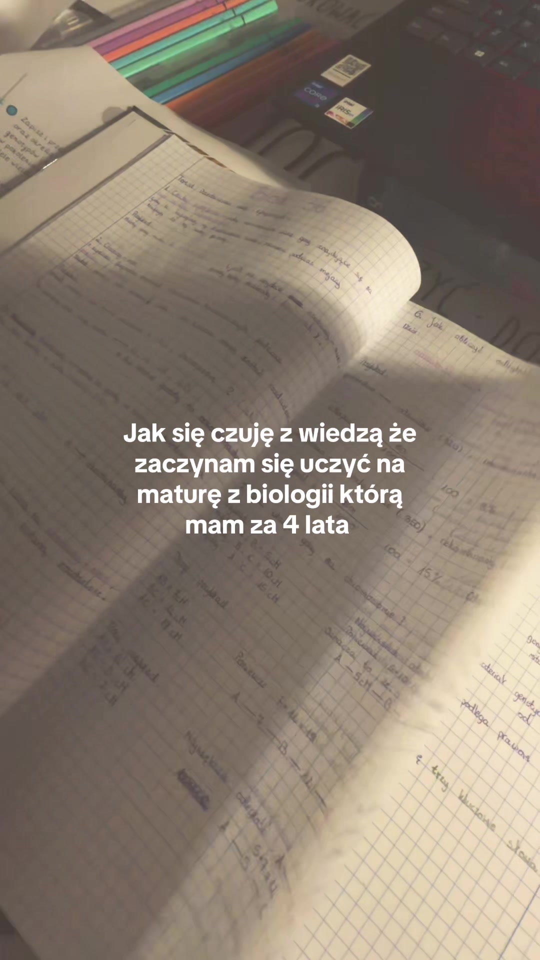 @martina.and.study