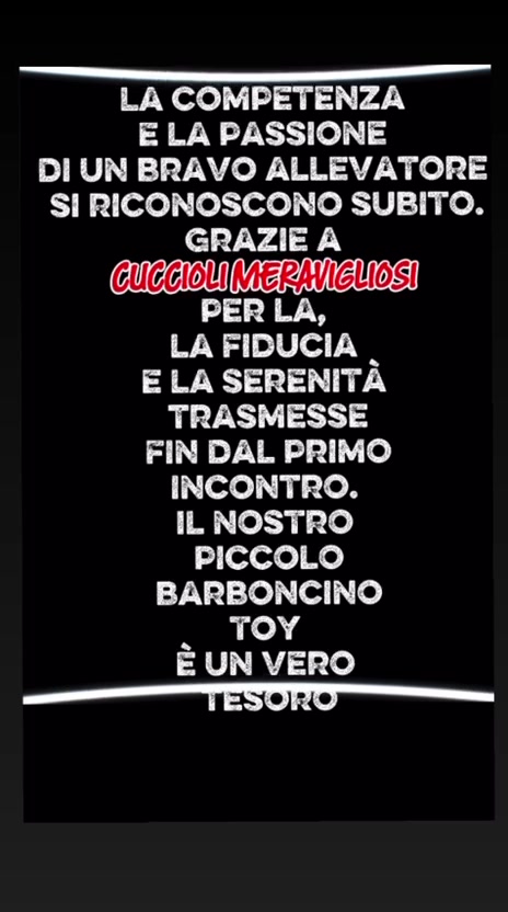 @cuccioli meravigliosi