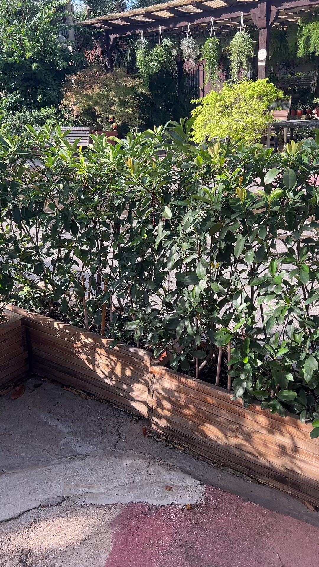 @vivaioanticogarden