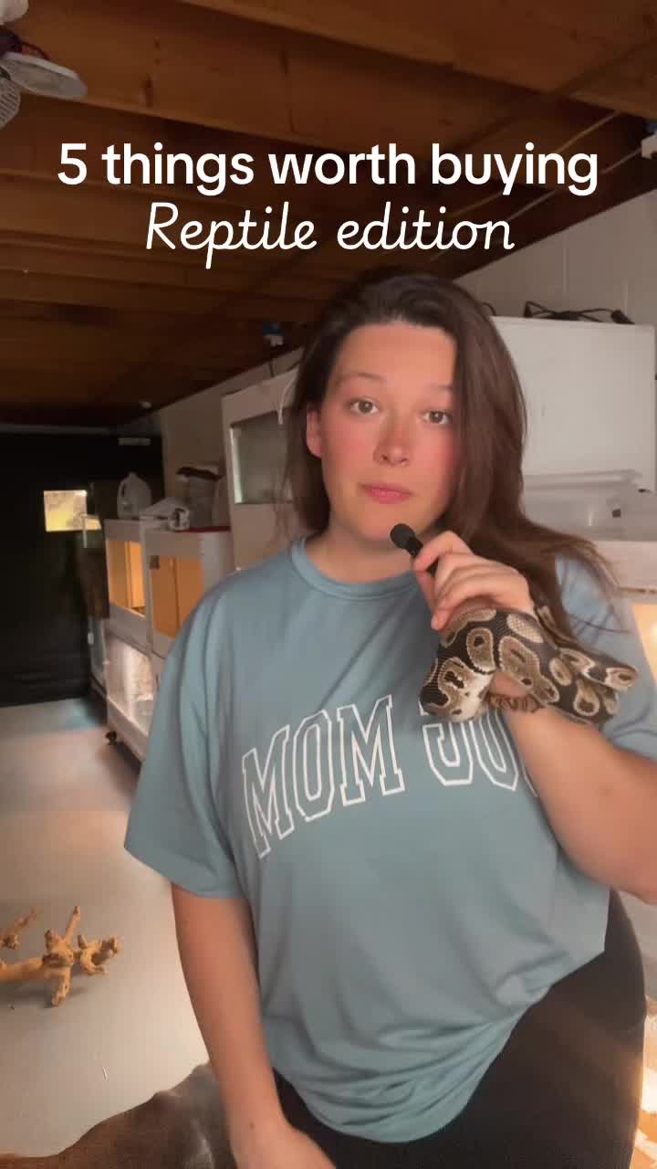 @ZA Reptiles