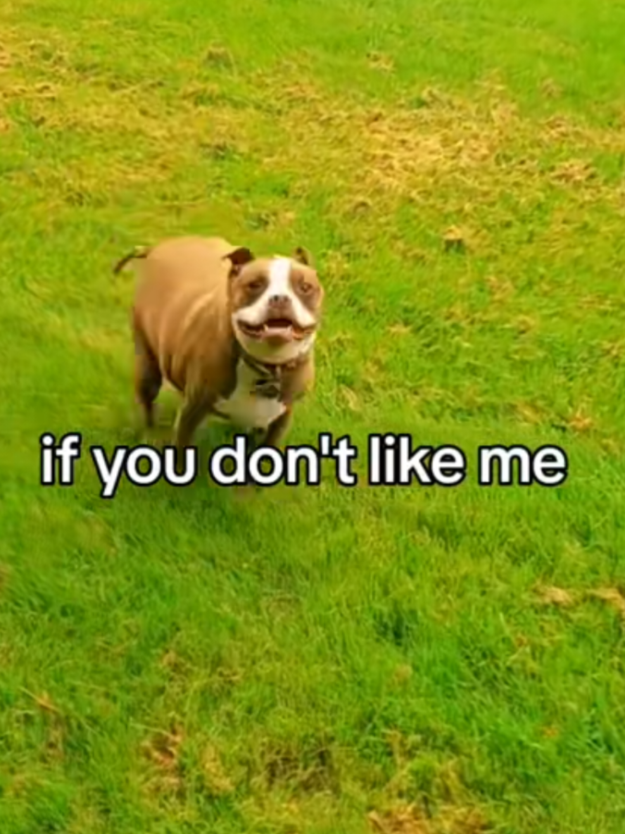 @Tinner Tuesday