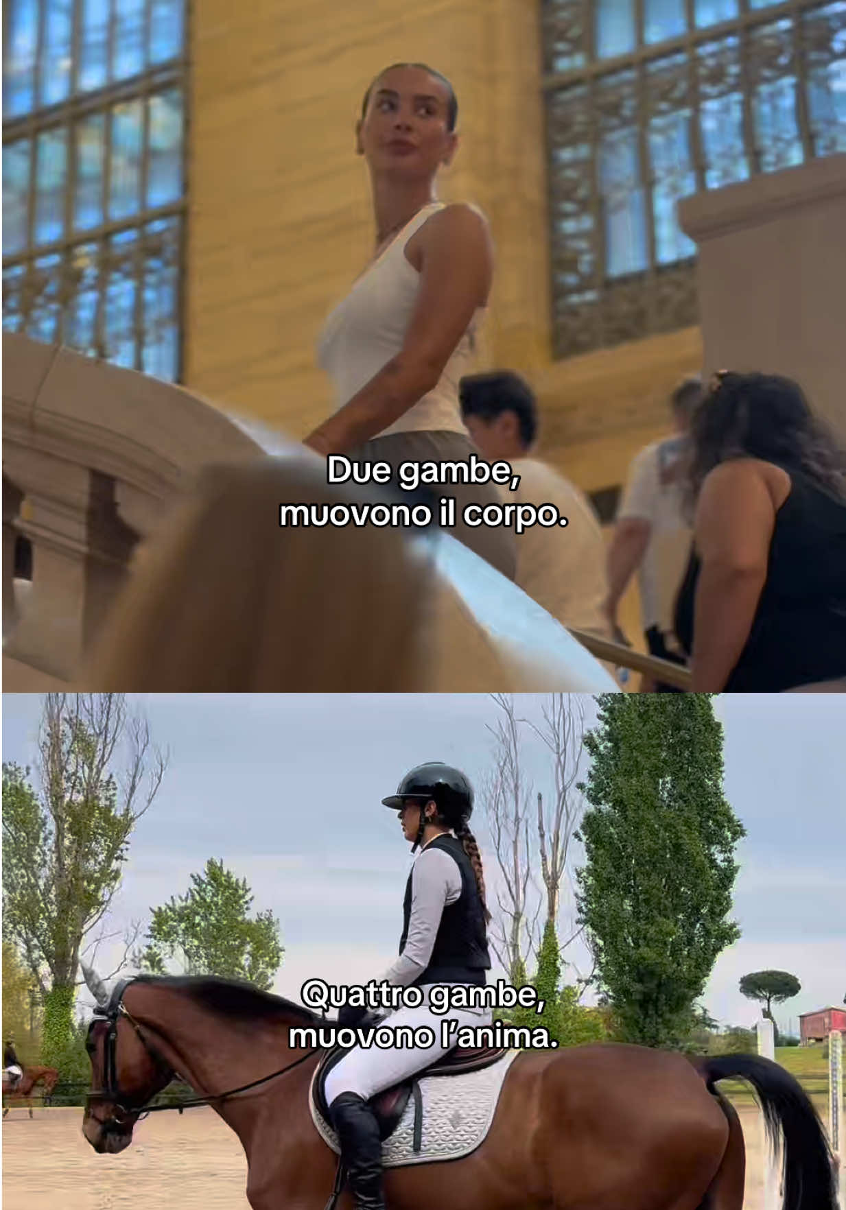 @ali 🐝