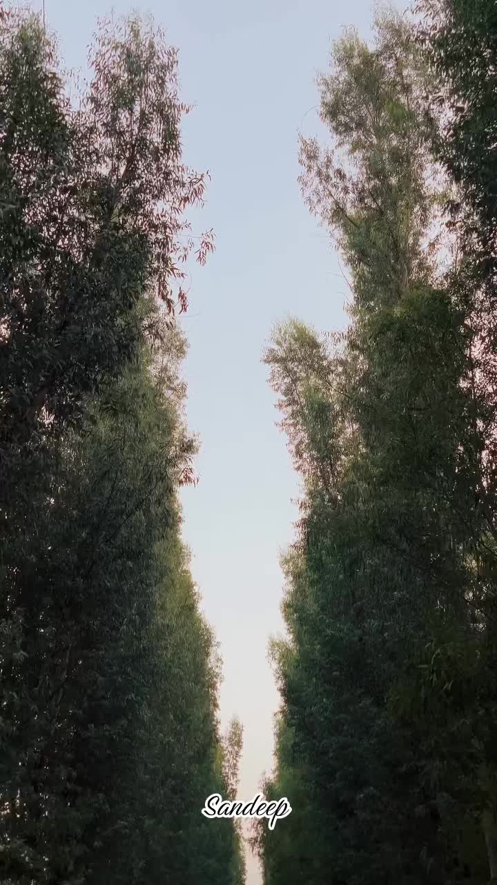 @Sdeep_2022