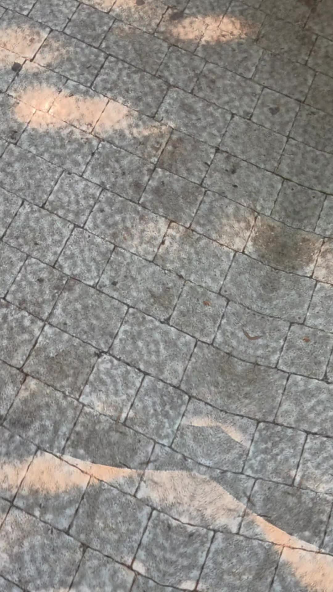 @tuğba