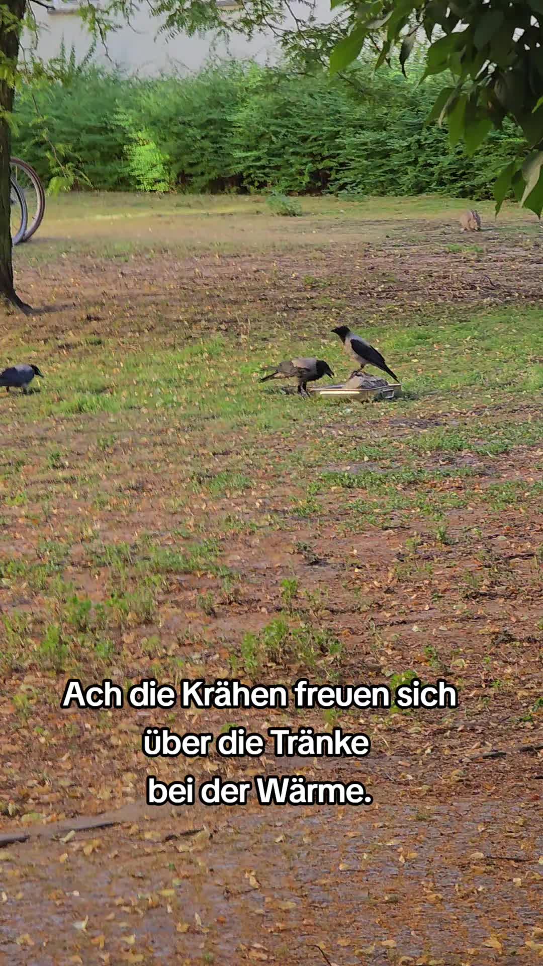 @Kay aus Berlin 🇩🇪