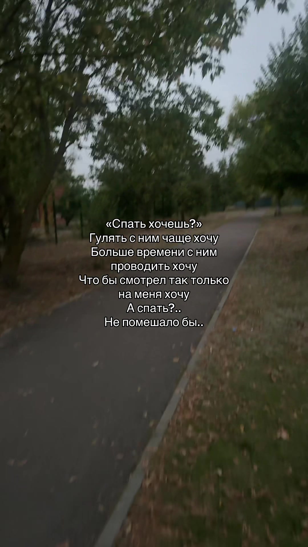 @Лиза🫂