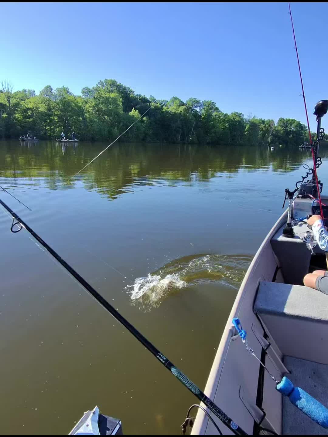 @Dave’s Lazy Baits
