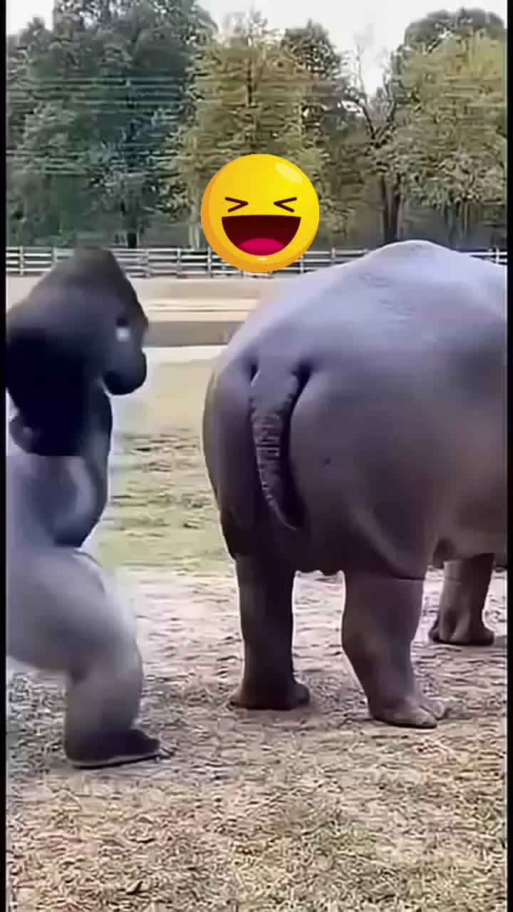 @Kitty137