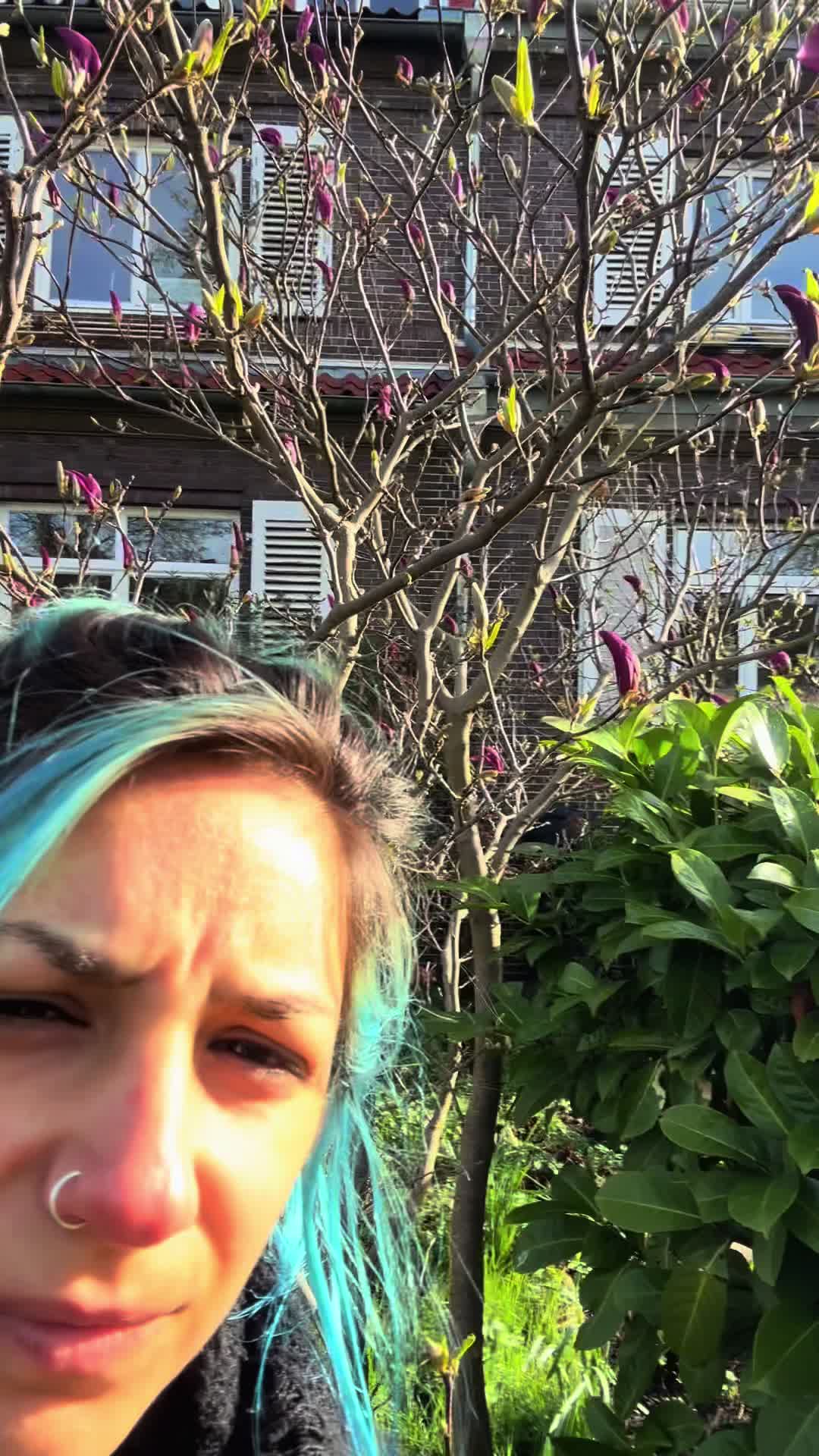 @marsillymars