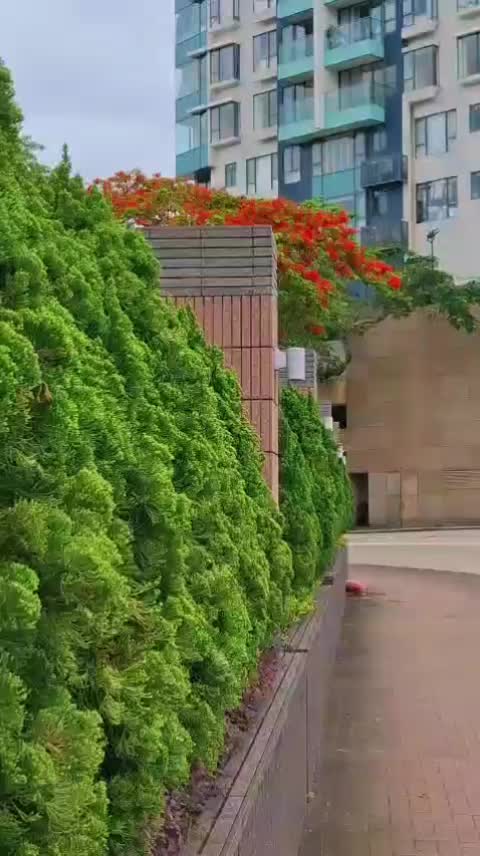 @ismiandra25