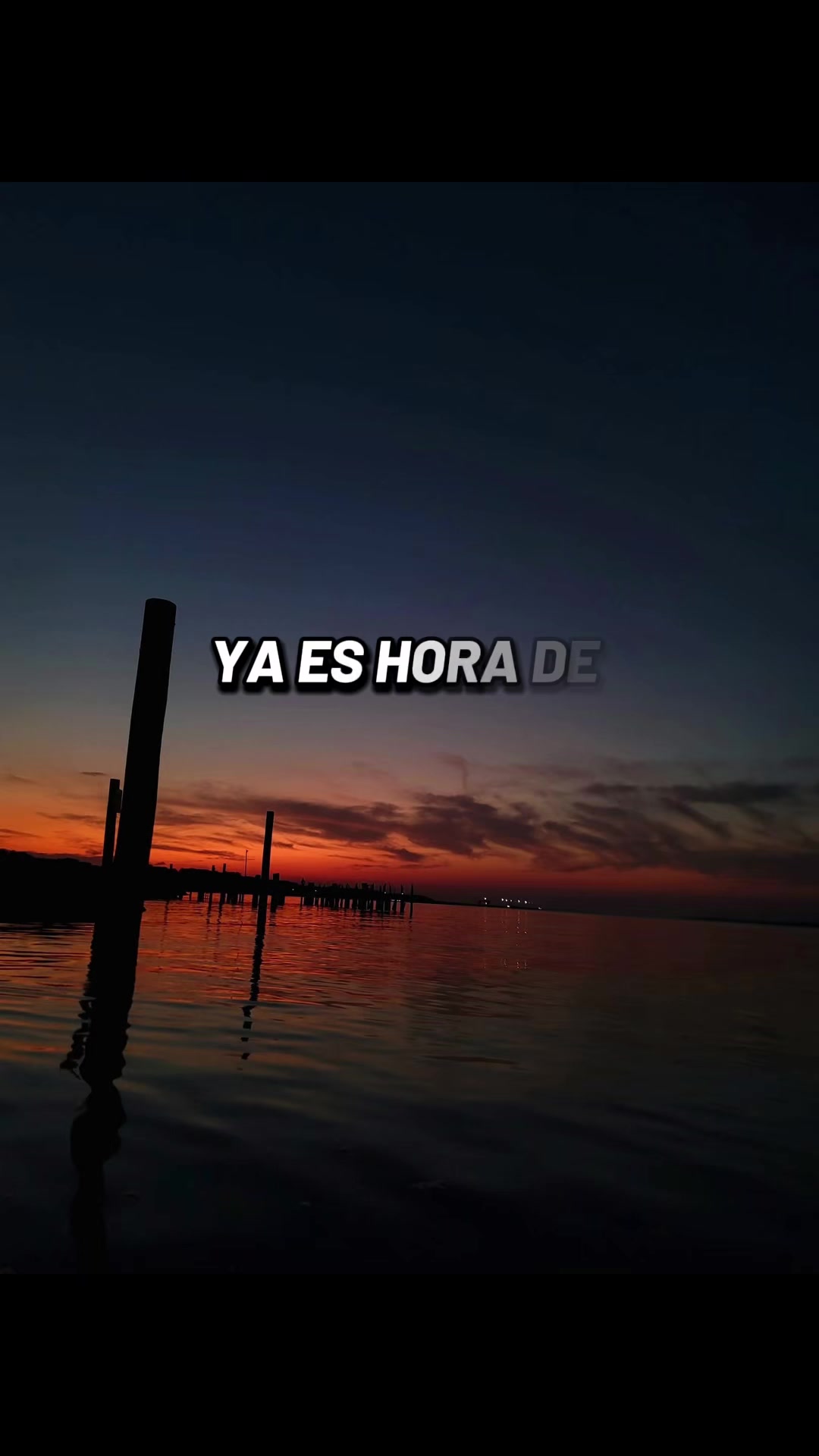 @Carol🌺yuleydi 🌺🐬🐈🐾