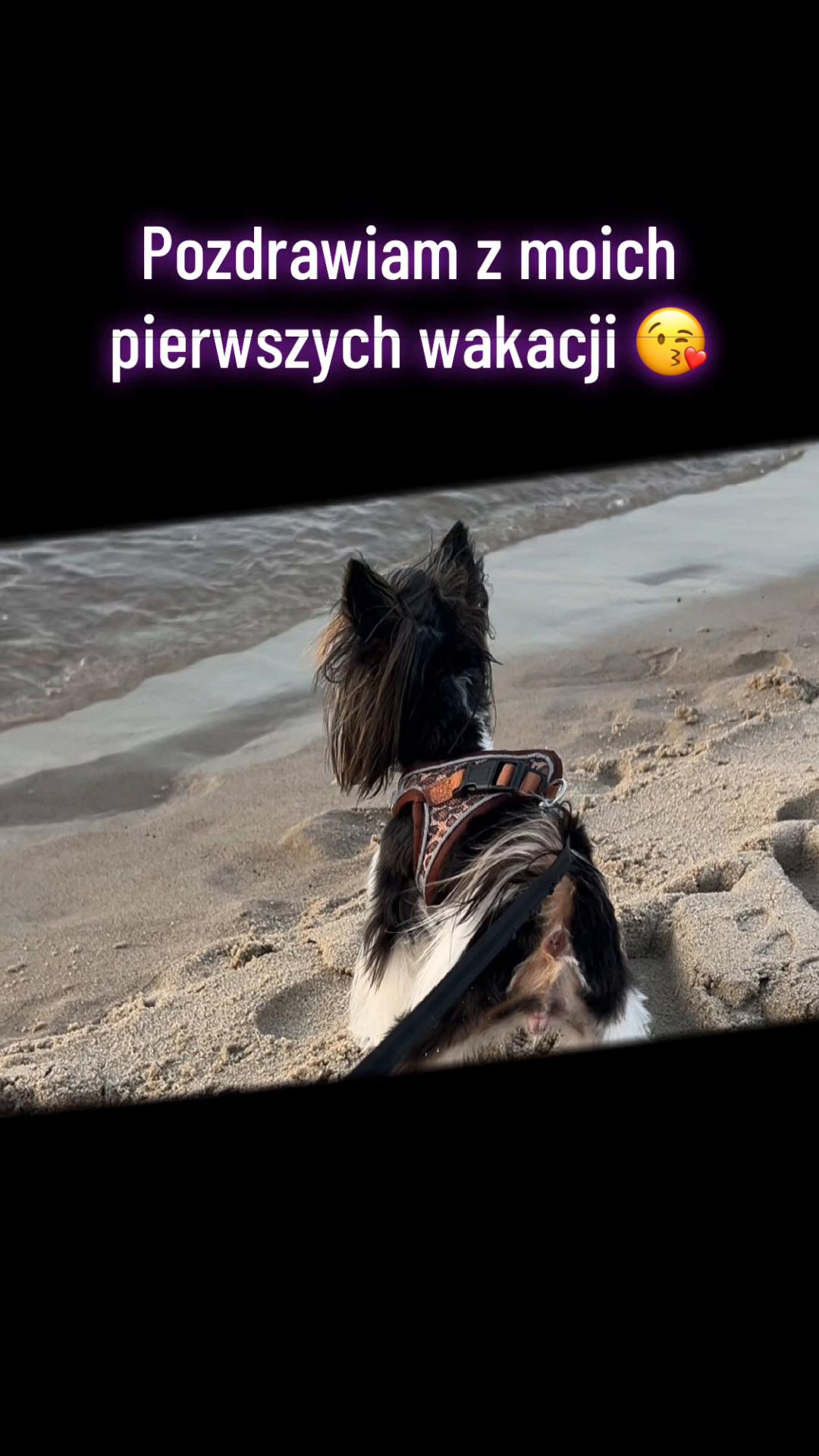 @bieweryork25pl