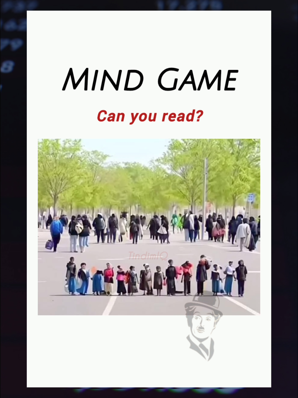 @Tindim-IQ
