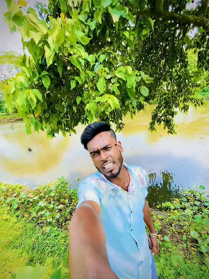 @banglavai4